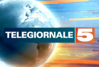 SILEONI AL TG5 SU SCIOPERO E RIFORMA POPOLARI