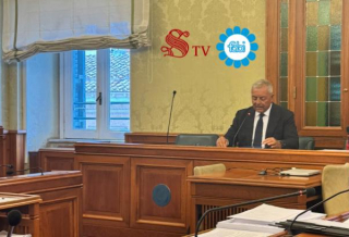 AUDIZIONE DI SILEONI ALLA COMMISSIONE PARLAMENTARE DI INCHIESTA SUL SISTEMA BANCARIO, FINANZIARIO E ASSICURATIVO