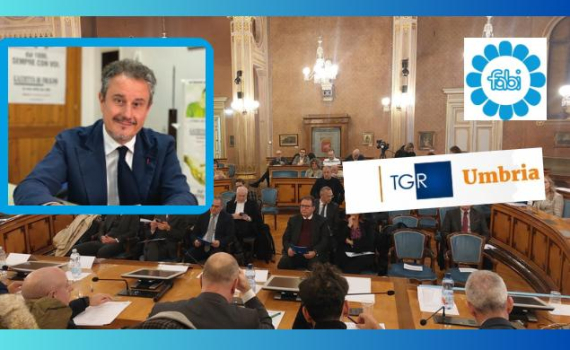 DESERTIFICAZIONE BANCARIA, IL CONVEGNO DELLA FABI DI PERUGIA AL TGR UMBRIA