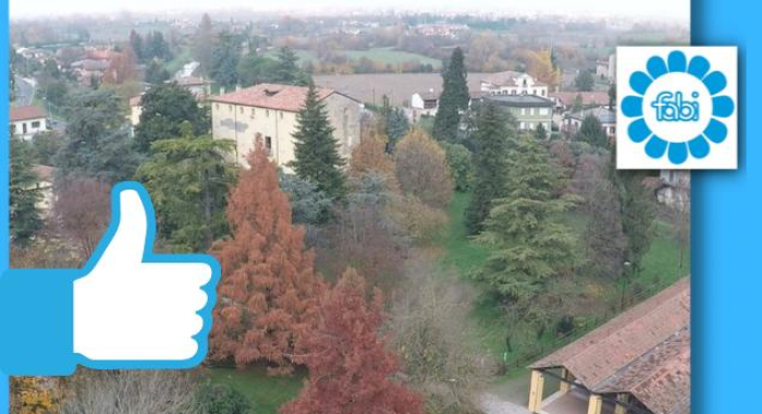 FABI PADOVA, 50 ALBERI PER IL COMUNE DI VIGONZA