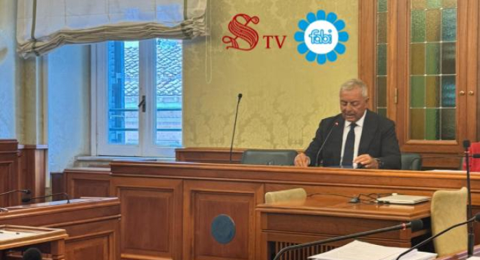 AUDIZIONE DI SILEONI ALLA COMMISSIONE PARLAMENTARE DI INCHIESTA SUL SISTEMA BANCARIO, FINANZIARIO E ASSICURATIVO