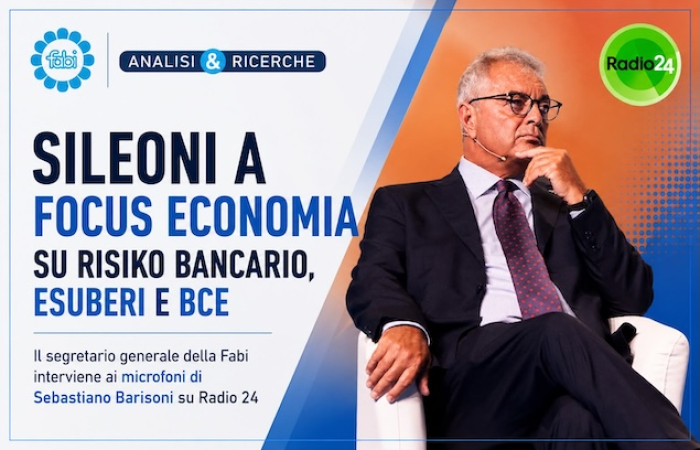 SILEONI A FOCUS ECONOMIA SU RISIKO BANCARIO, ESUBERI E BCE
