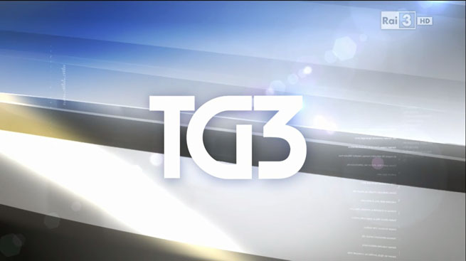 SILEONI AL TG 3 SUI FONDI PREVISTI NEL DEF PER IL FONDO ESUBERI