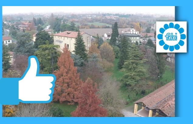 FABI PADOVA, 50 ALBERI PER IL COMUNE DI VIGONZA