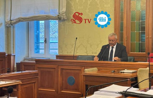 AUDIZIONE DI SILEONI ALLA COMMISSIONE PARLAMENTARE DI INCHIESTA SUL SISTEMA BANCARIO, FINANZIARIO E ASSICURATIVO